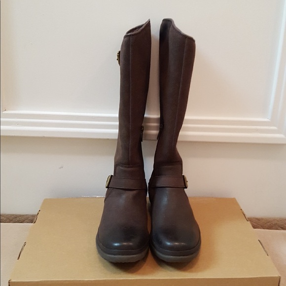 UGG Shoes - Brown Suede waterproof Ugg boots